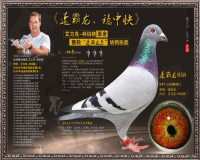速霸龙858