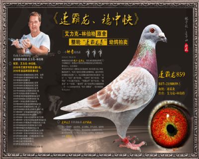 速霸龙859