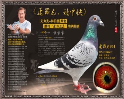 速霸龙861