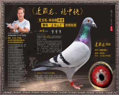 速霸龙388