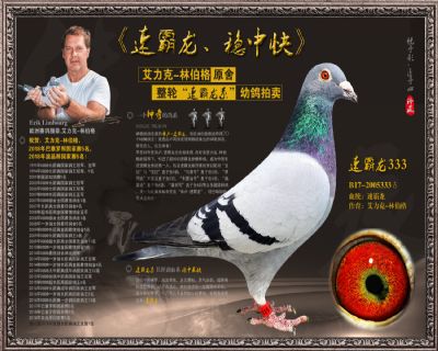速霸龙333