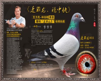 速霸龙855