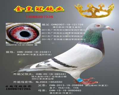 金皇冠699副本