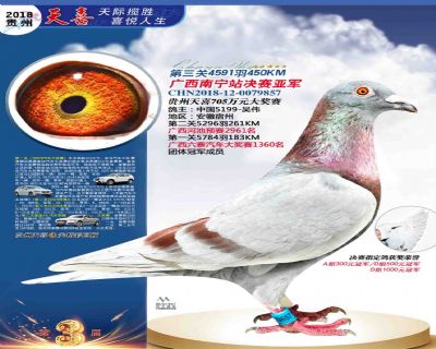 贵州天喜决赛亚军