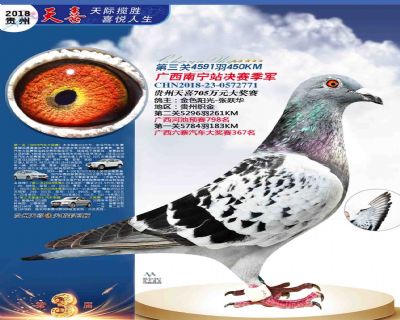 贵州天喜决赛季军