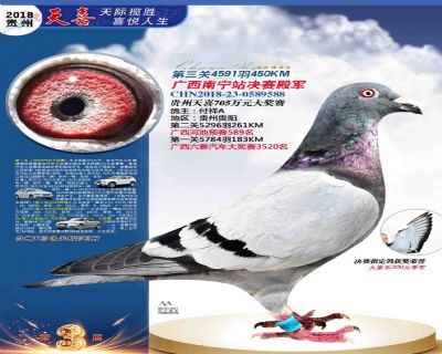 贵州天喜决赛殿军