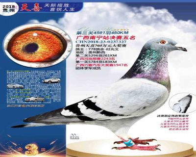贵州天喜决赛5名