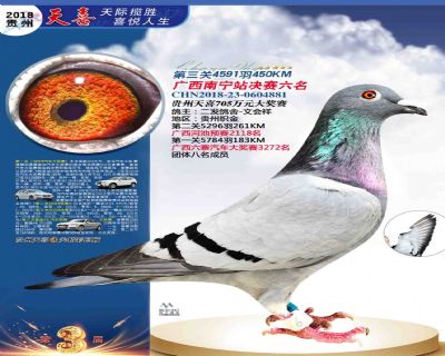 贵州天喜决赛6名