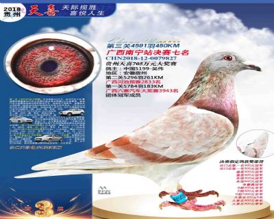 贵州天喜决赛7名