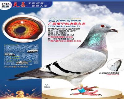 贵州天喜决赛9名