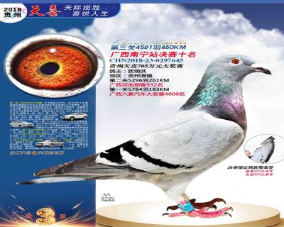 贵州天喜决赛10名