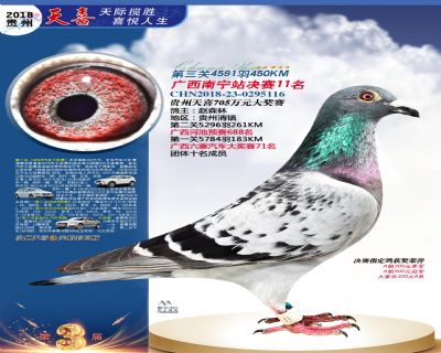 贵州天喜决赛11名
