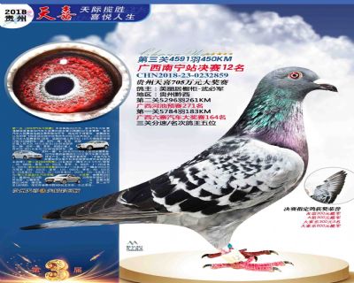 贵州天喜决赛12名