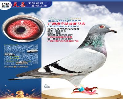 贵州天喜决赛13名
