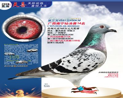贵州天喜决赛14名