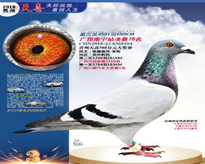 贵州天喜决赛15名