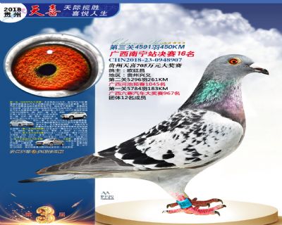 贵州天喜决赛16名