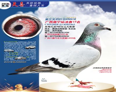 贵州天喜决赛17名
