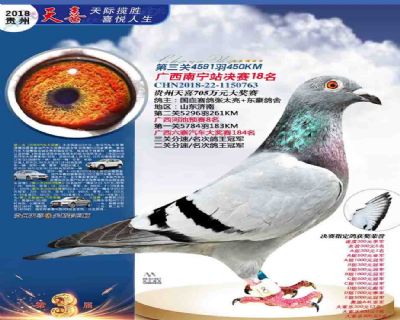贵州天喜决赛18名