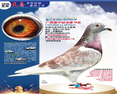 贵州天喜决赛19名