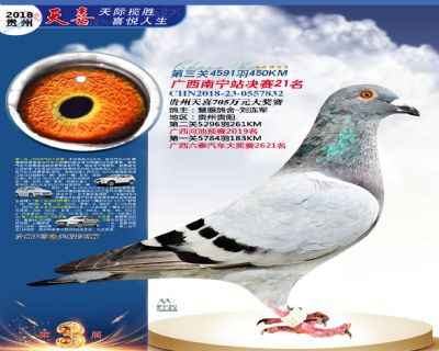 贵州天喜决赛21名