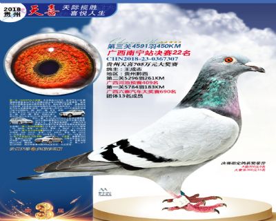贵州天喜决赛22名
