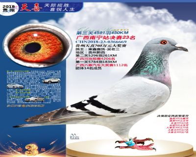 贵州天喜决赛23名