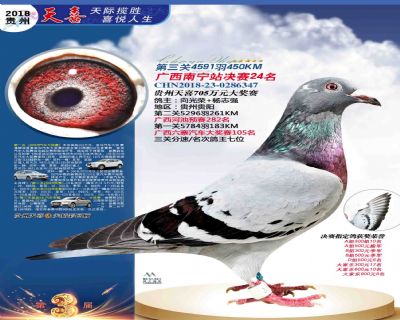 贵州天喜决赛24名