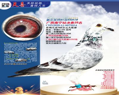 贵州天喜决赛25名