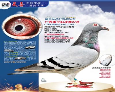 贵州天喜决赛27名