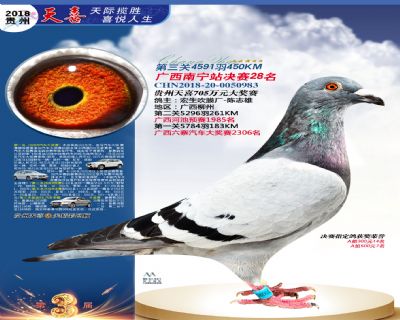 贵州天喜决赛28名