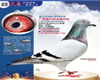 贵州天喜决赛29名
