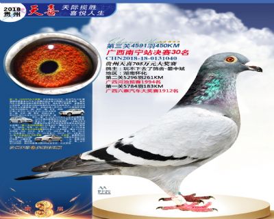 贵州天喜决赛30名