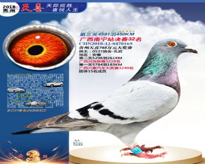 贵州天喜决赛32名