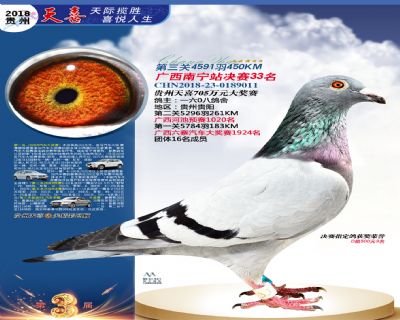 贵州天喜决赛33名
