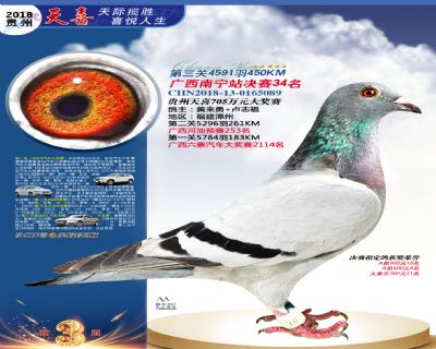 贵州天喜决赛34名