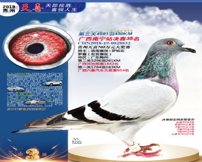 贵州天喜决赛35名