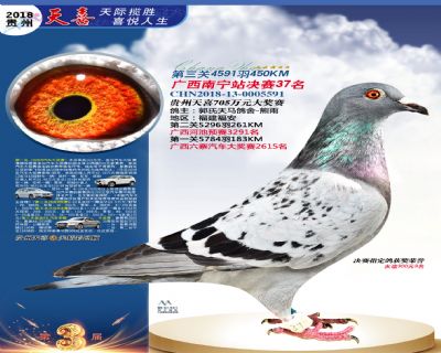 贵州天喜决赛37名