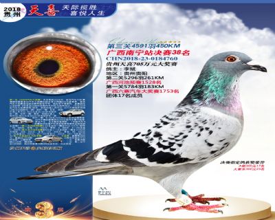 贵州天喜决赛38名