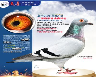 贵州天喜决赛39名