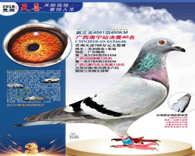 贵州天喜决赛40名