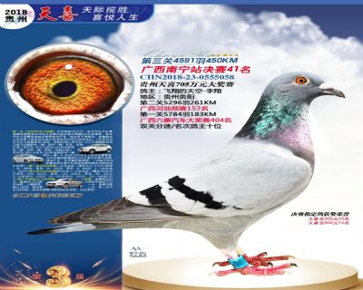 贵州天喜决赛41名