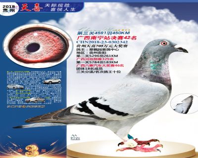 贵州天喜决赛42名