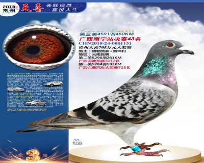 贵州天喜决赛43名