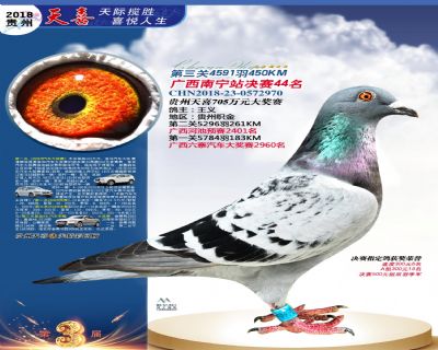 贵州天喜决赛44名