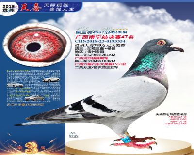 贵州天喜决赛47名