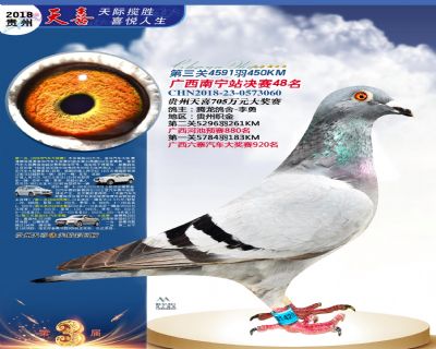 贵州天喜决赛48名
