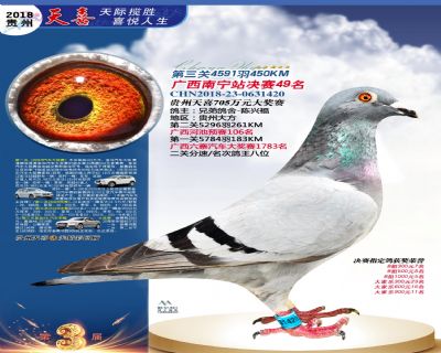 贵州天喜决赛49名