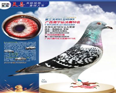 贵州天喜决赛50名