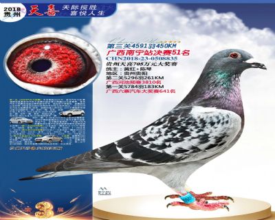 贵州天喜决赛51名